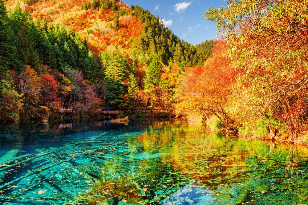 Explore What To Do In Jiuzhaigou Valley, China: A Thrilling Guide 2023