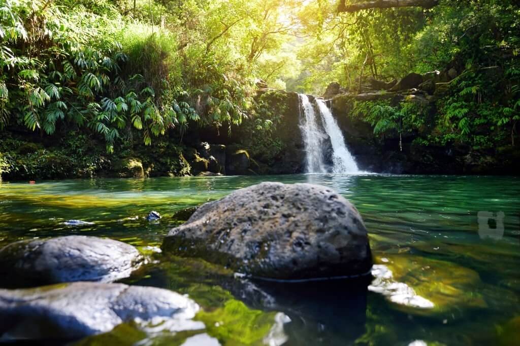 hana maui waterfall 