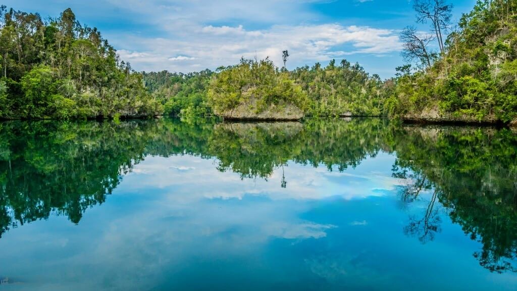 raja ampat eco